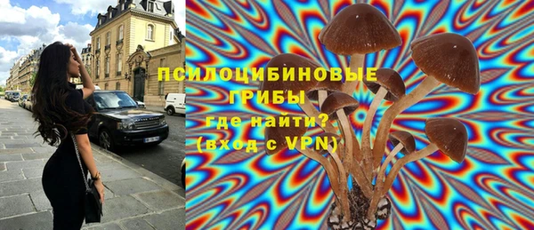 эйфоретик Покров
