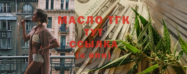 шишки Покачи