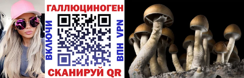 Купить закладки  Коряжма  Галлюциногенные грибы мухоморы 