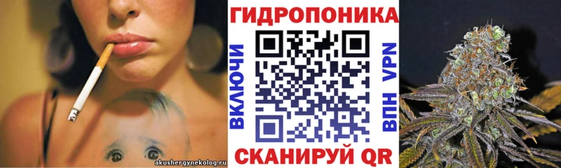 Бошки Шишки White Widow  Купить где  Коряжма 